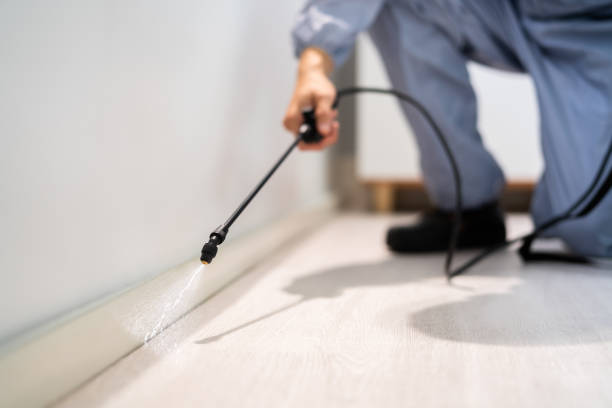 Licensed Termite Control service in Laverne, OK - Nex Pest Control