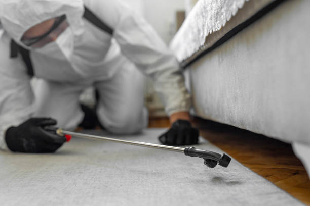 Professional Termite Control technician working in Laverne, OK