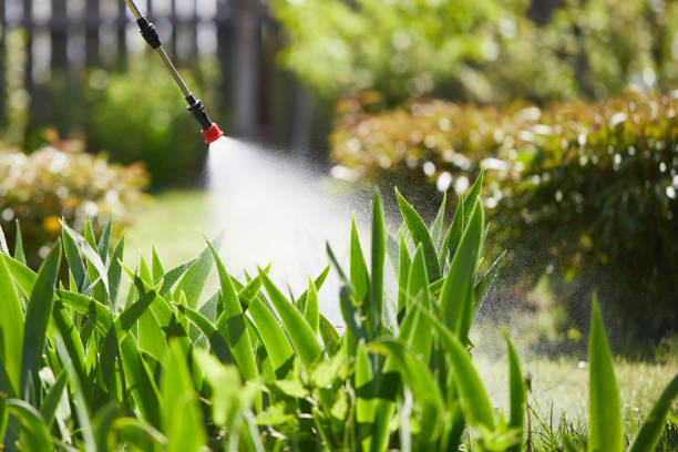 24/7 Emergency Termite Control experts in Laverne, OK