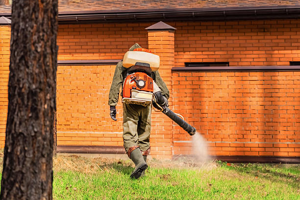 Top rated local Termite Control specialists in Laverne, OK